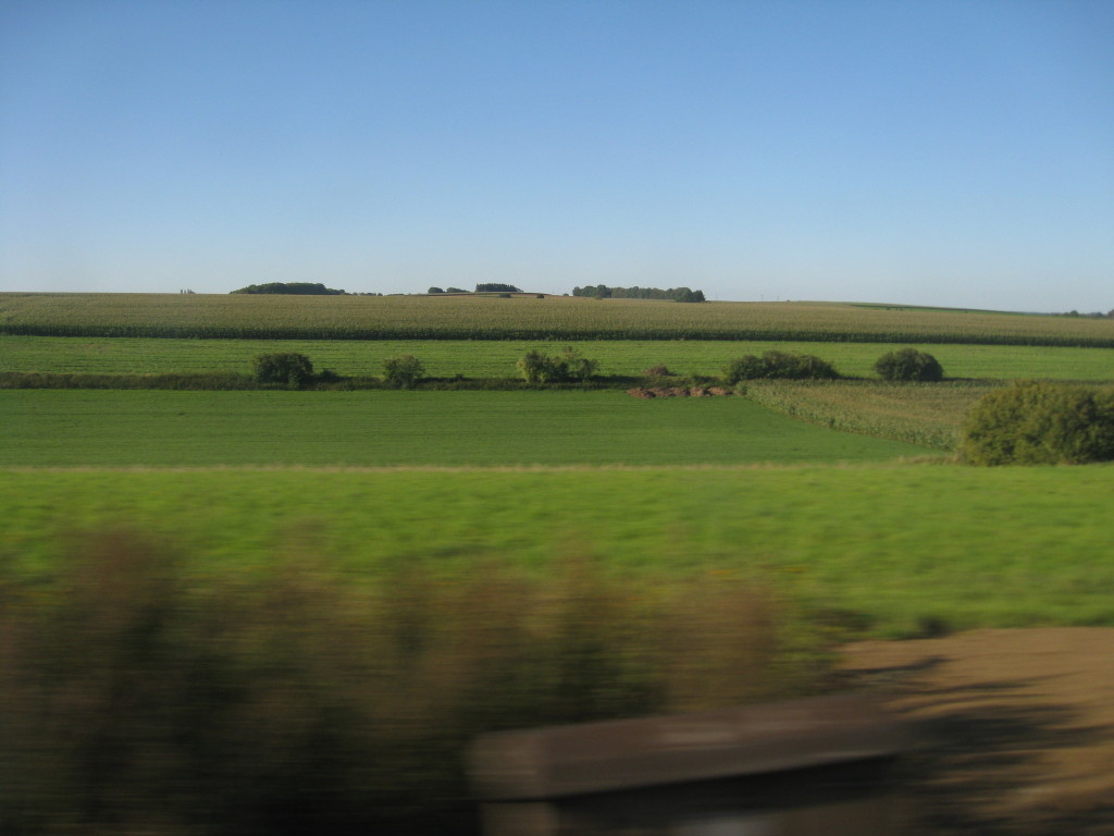 IMG_9382